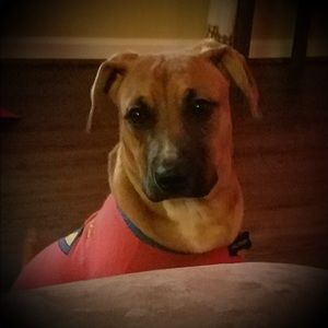 Meet your Posher, Valeria